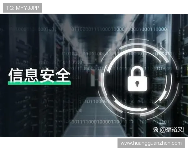 皇冠登录页面安全验证措施，保障您的账户信息安全无泄露