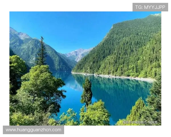 怎样规划澳门娱乐旅游行程，让你的假期充满乐趣和惊喜