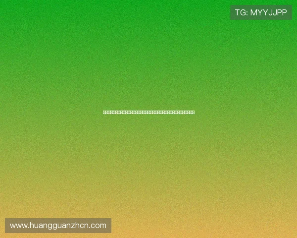 多功能六合彩地址登录入口大全，满足不同用户多样化登录需求，保障账户安全稳定